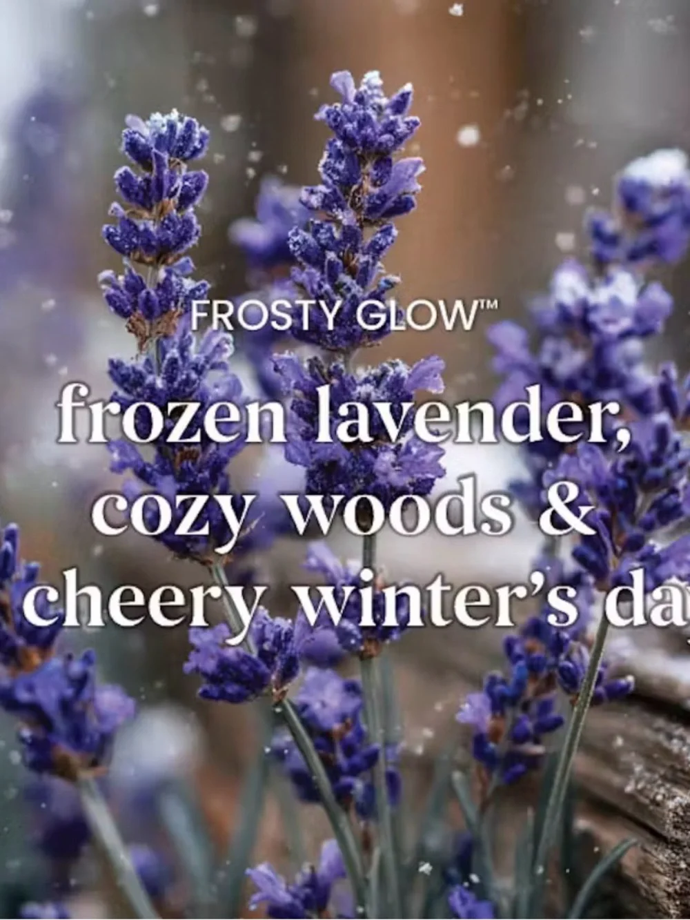 Yankee Candle Frosty Glow Large Tumbler Scented Candle 20 oz 2-Wick Plant Wax